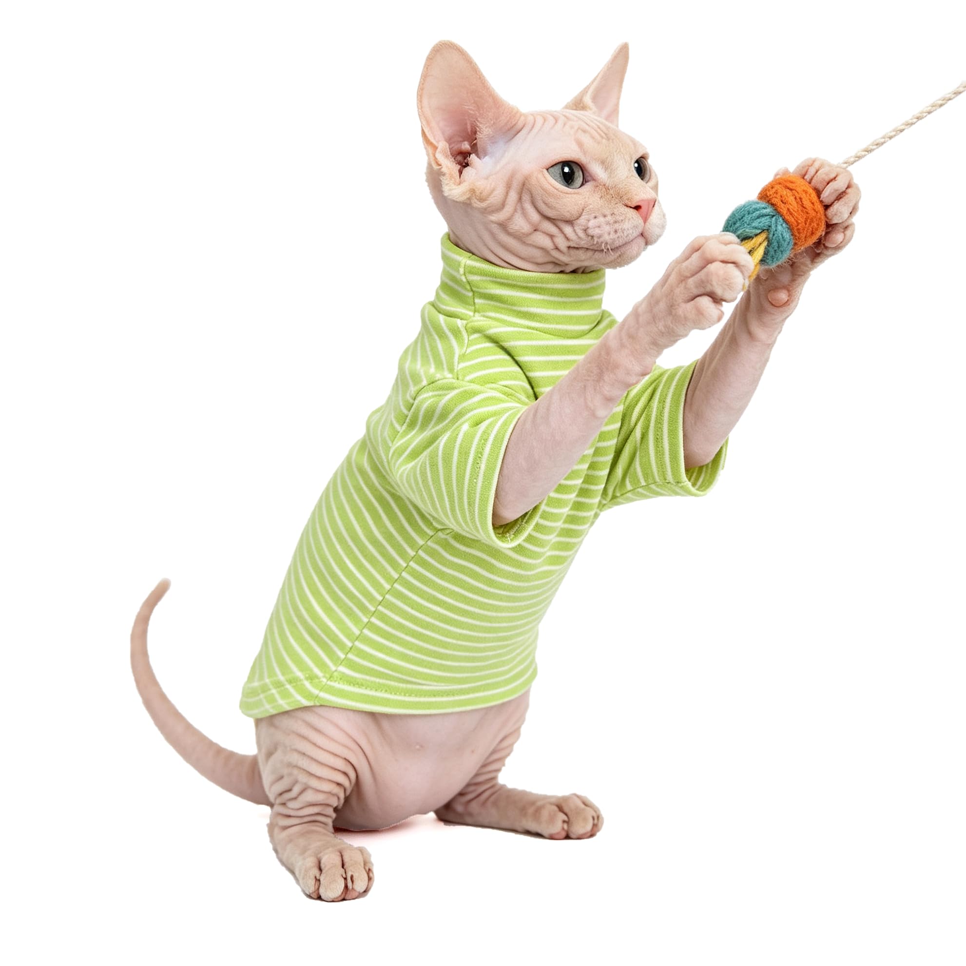 Vêtements de chat pour chats uniquement