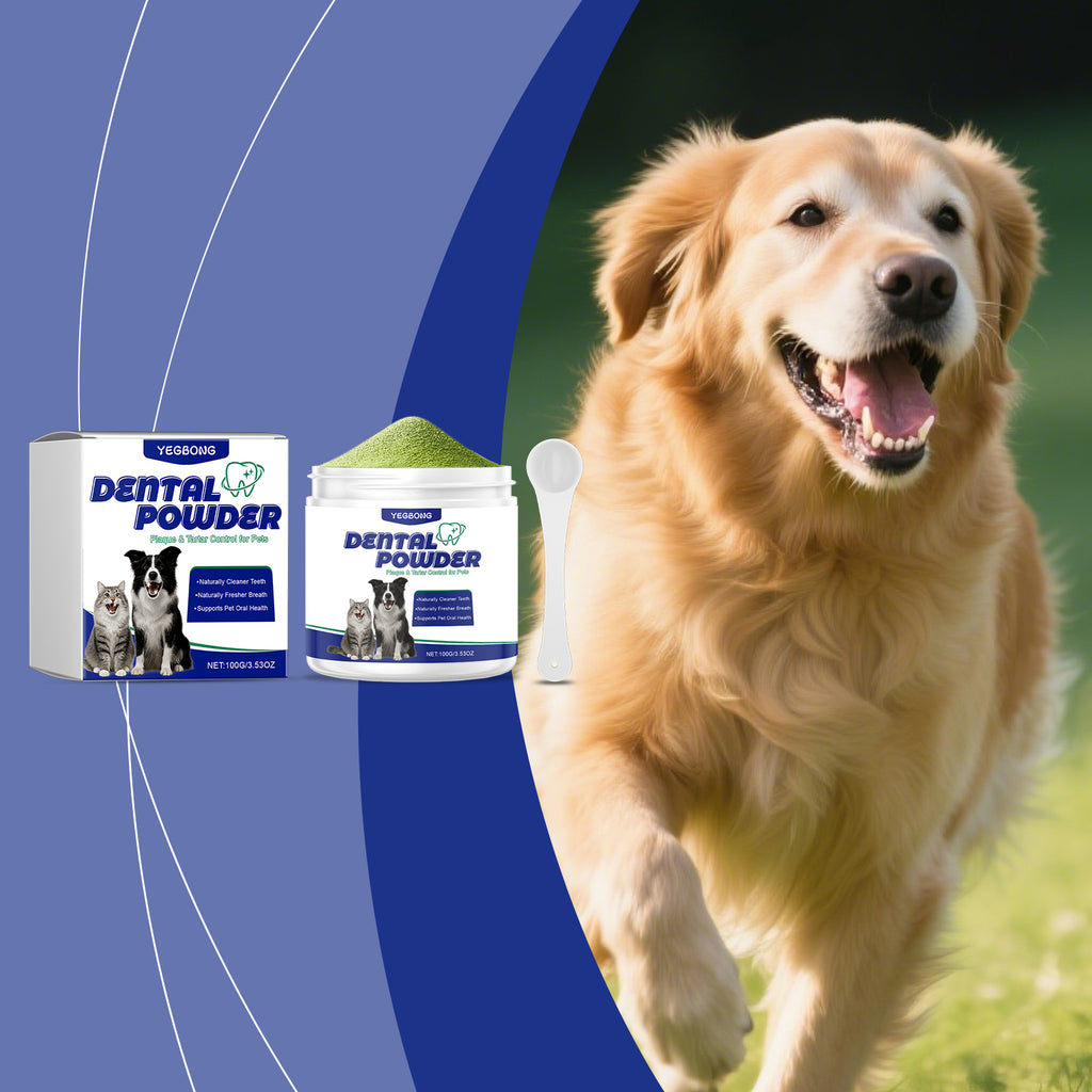 Poudre de nettoyage des dents des animaux de compagnie