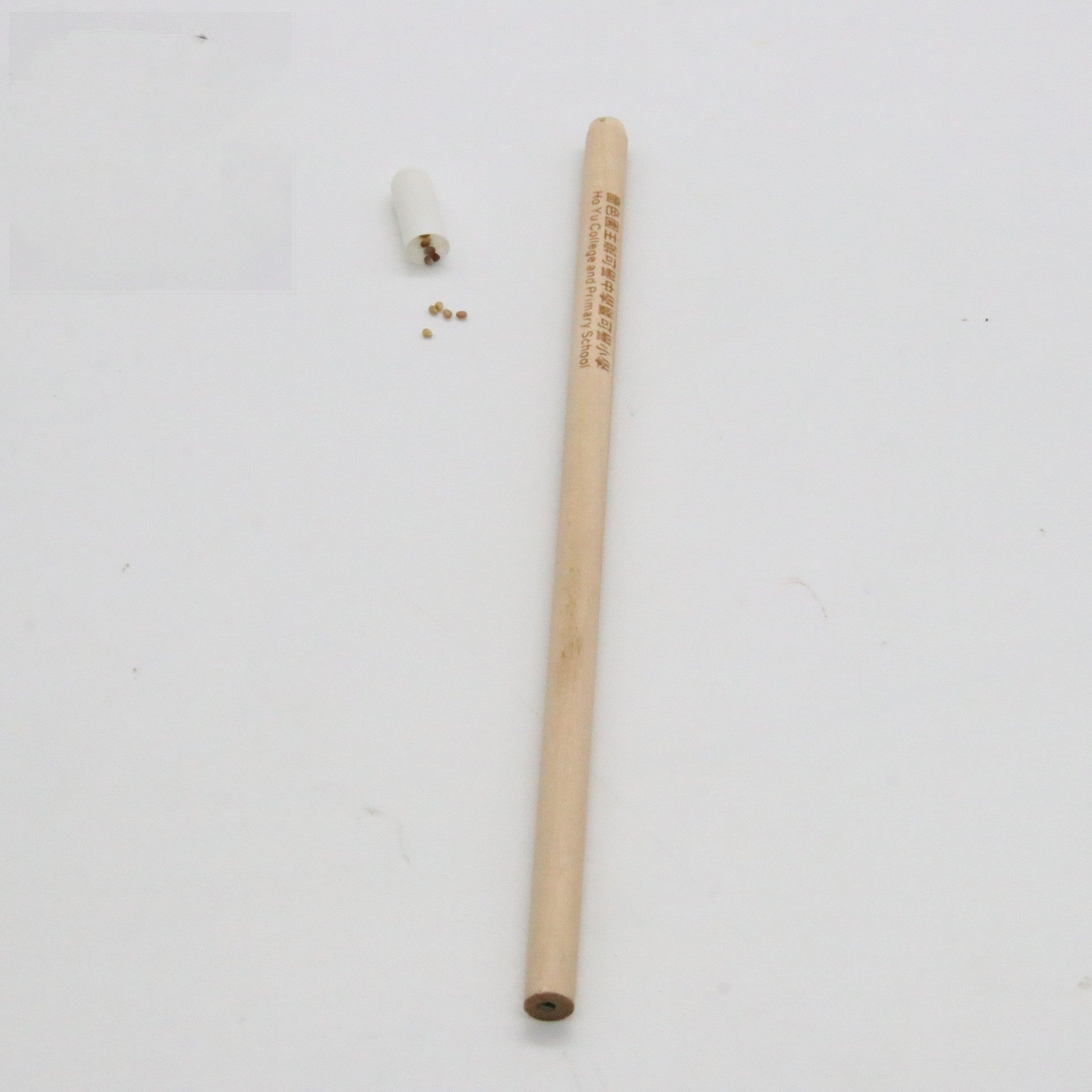 Graines Pencil Germinable Plant Pencil HB Recharge Capsules dégradables