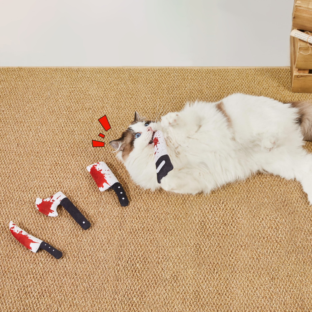 Jouets de chat 4Pcs