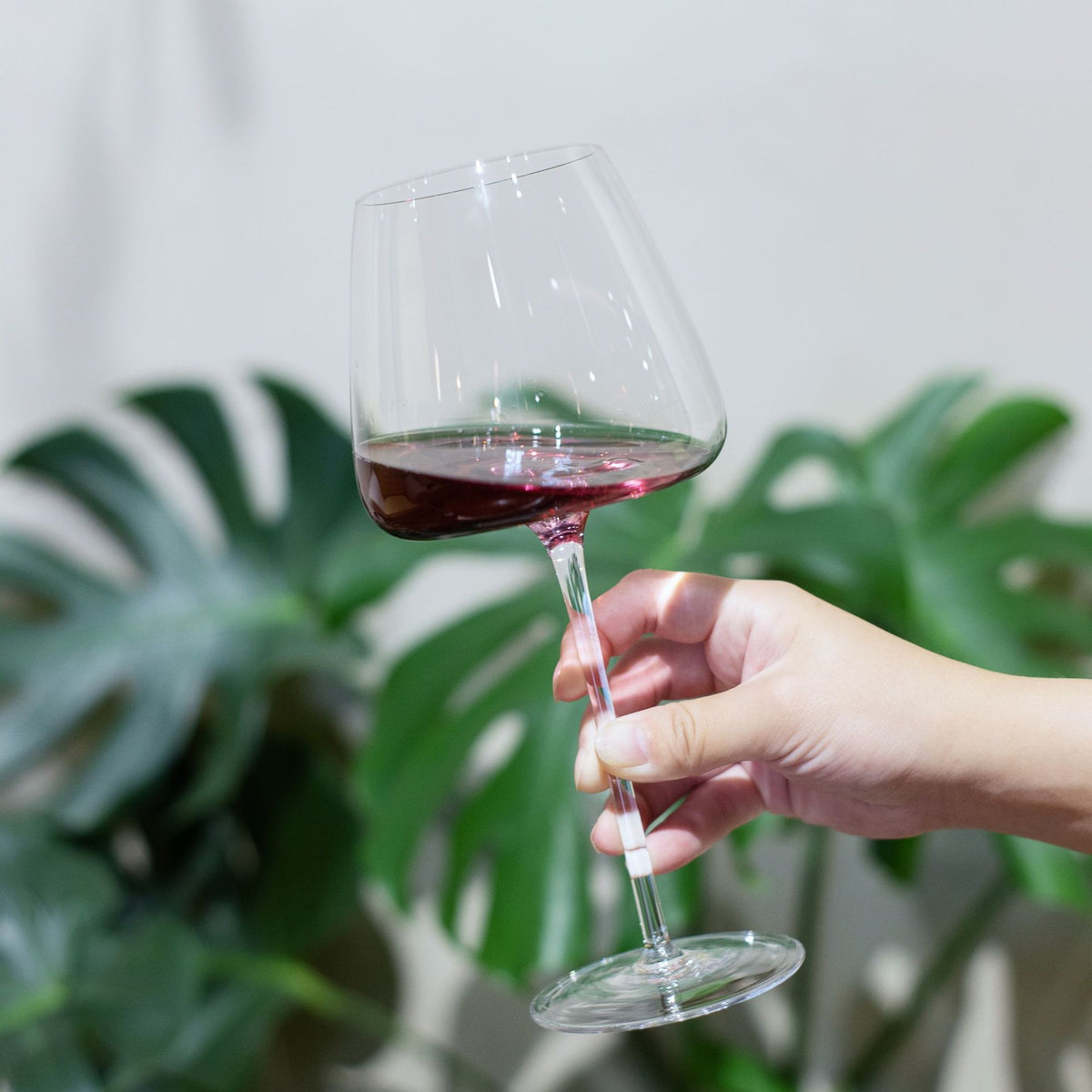 Bordeaux Vin Rouge Verre Grande Capacité Coupe