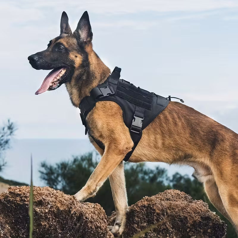 Harnais portatif tactique pour chiens de grande taille