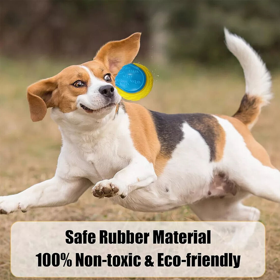 Scooby-Doo Squeaky durable Set de 8 boules de chien pour le nettoyage des dents Interactive UK