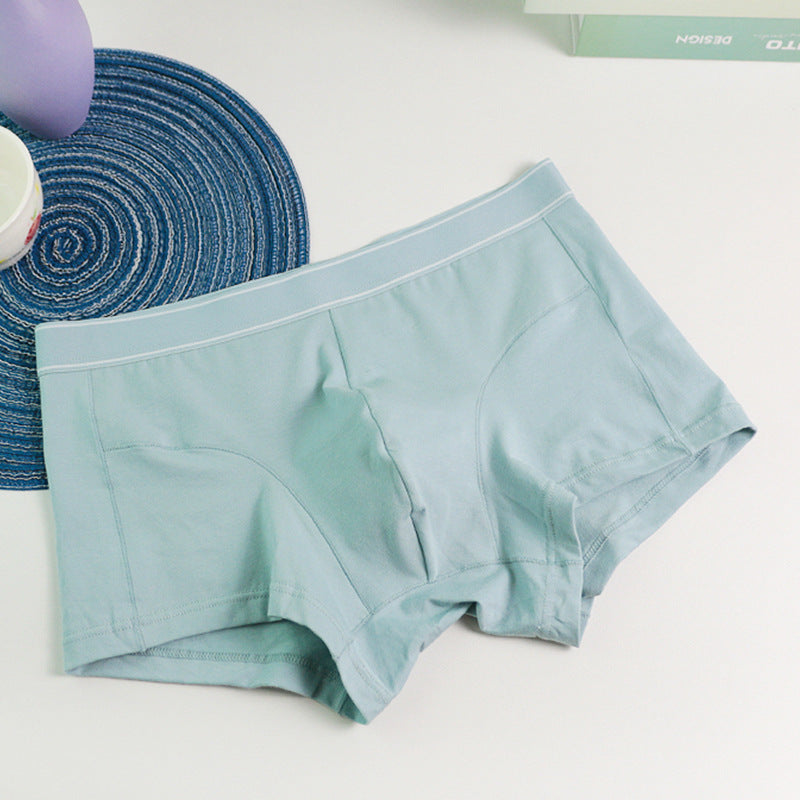 Sous-vêtements pour hommes Boxer en coton purifié doux et respirant