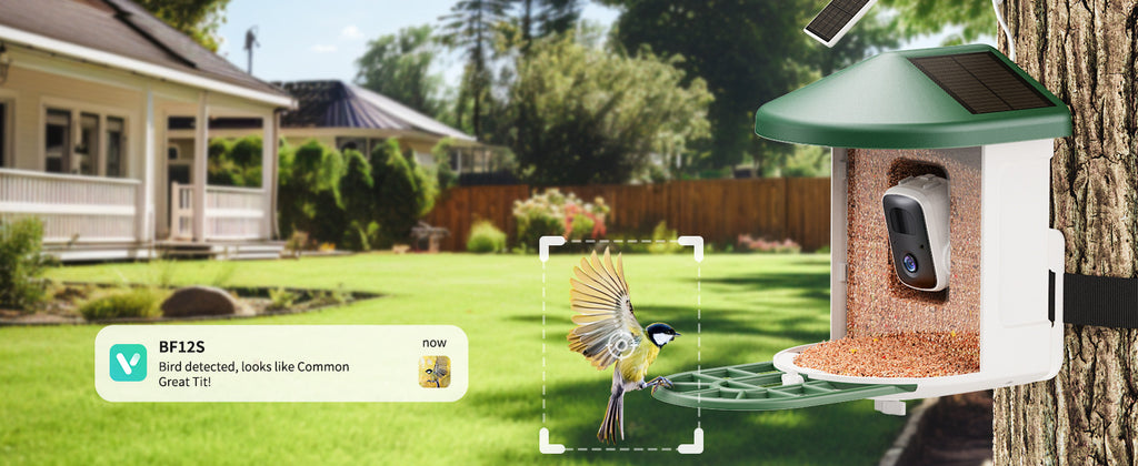 Smart Feeder Wireless Surveillance Camera