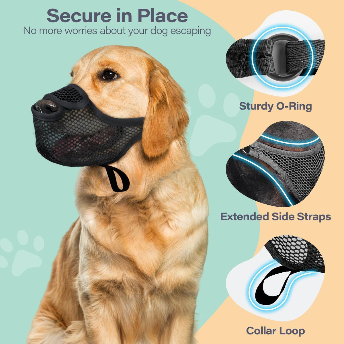 Muselière ajustable pour chien de compagnie qui permet de boire tout en prévenant les piqûres et les câlins