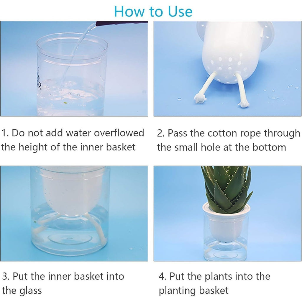 Self-watering waxing kit