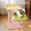 L'espace-sauvegarder tout-en-un arbre de chat et le lit pour les petits appartements