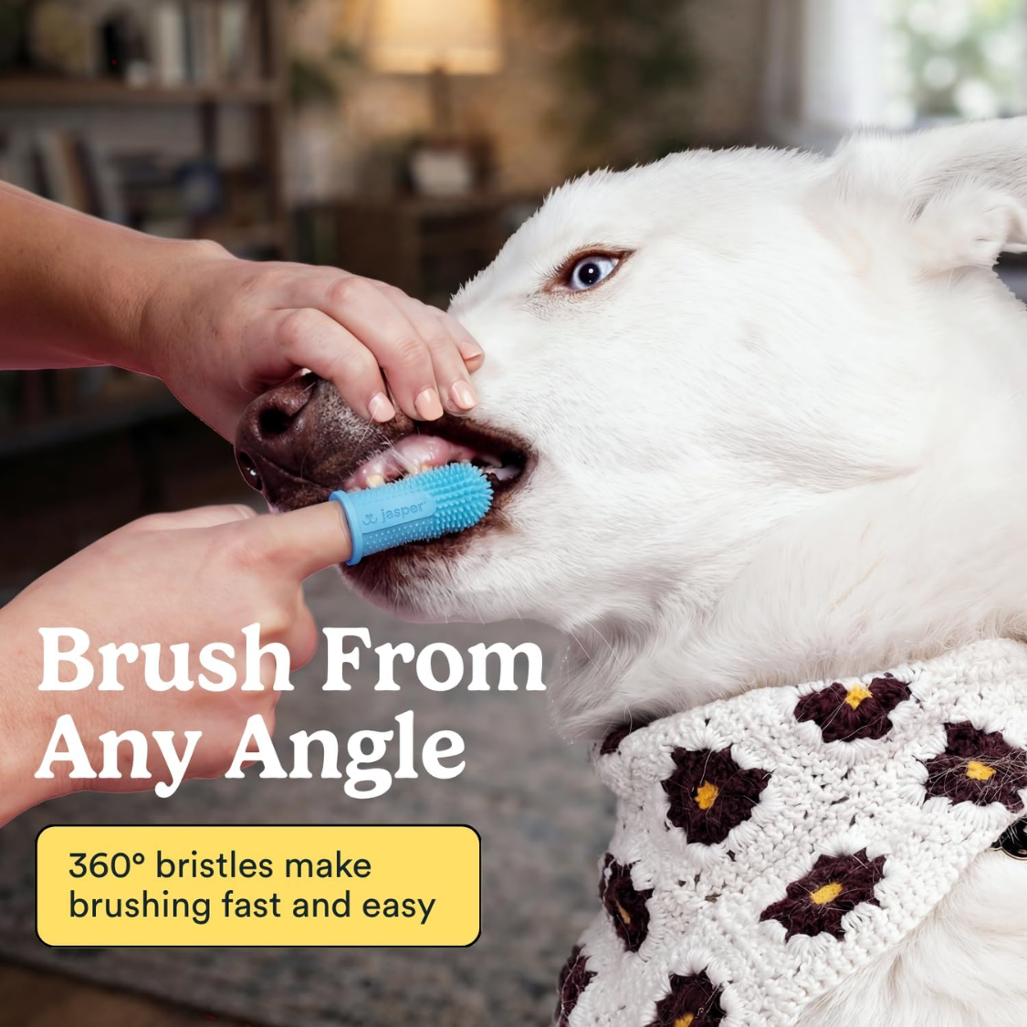 Brosse à dents pour chien et chat 360°, kit doigtier