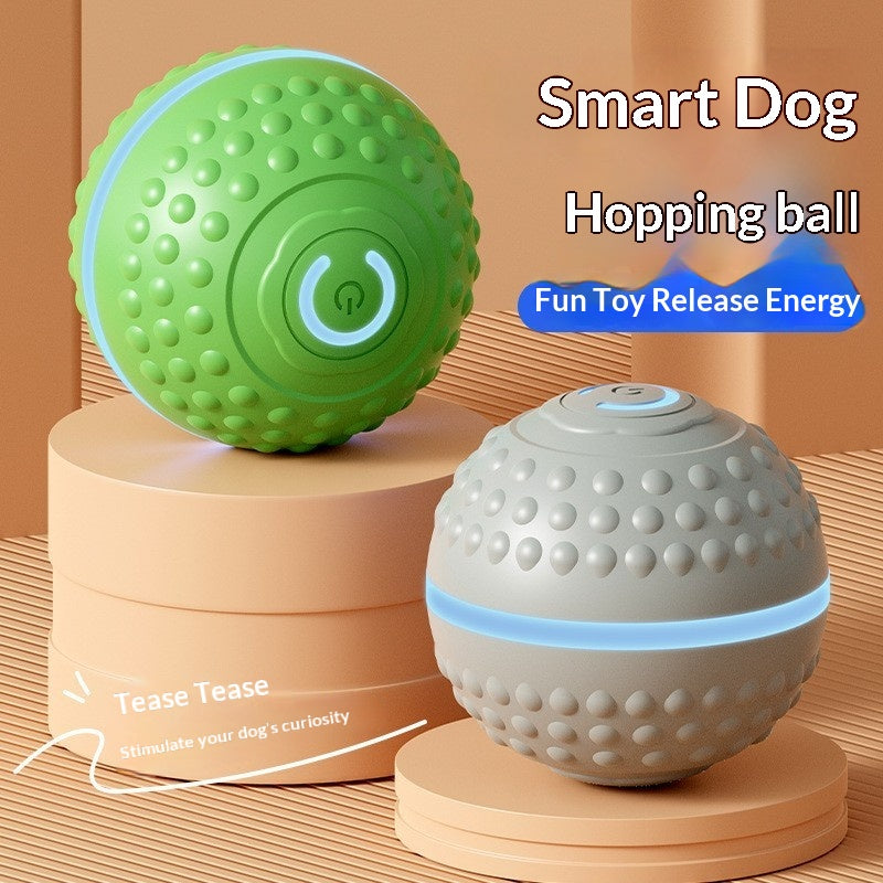 Jouet de chien de balle à roulettes