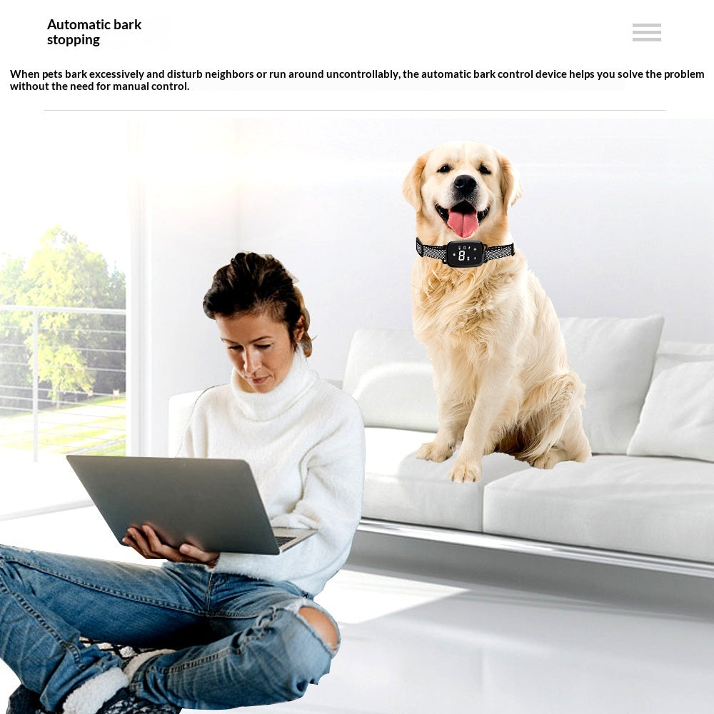 Collier d'entraînement de chien d'affichage numérique.