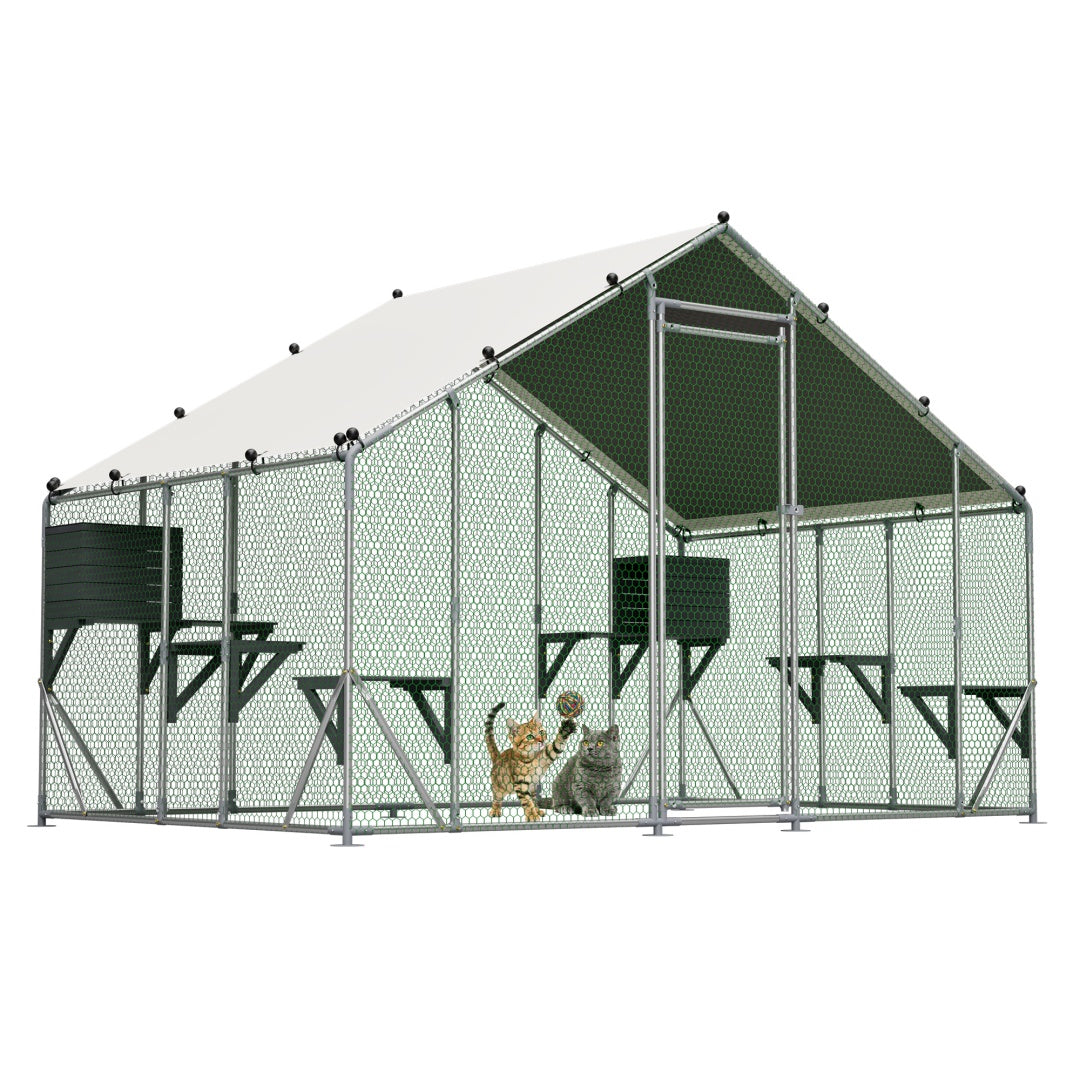 Extra robuste 3x2m en métal extérieur Cage de chat - Plate-forme en bois massif DIY