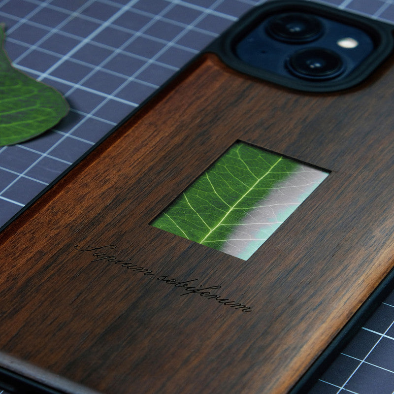 Étui téléphonique en bois massif pour spécimens d'usine