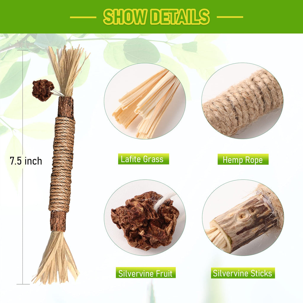Silvervine Sticks Cat Chew Jouets pour les chats intérieurs soins dentaires nettoyage des dents