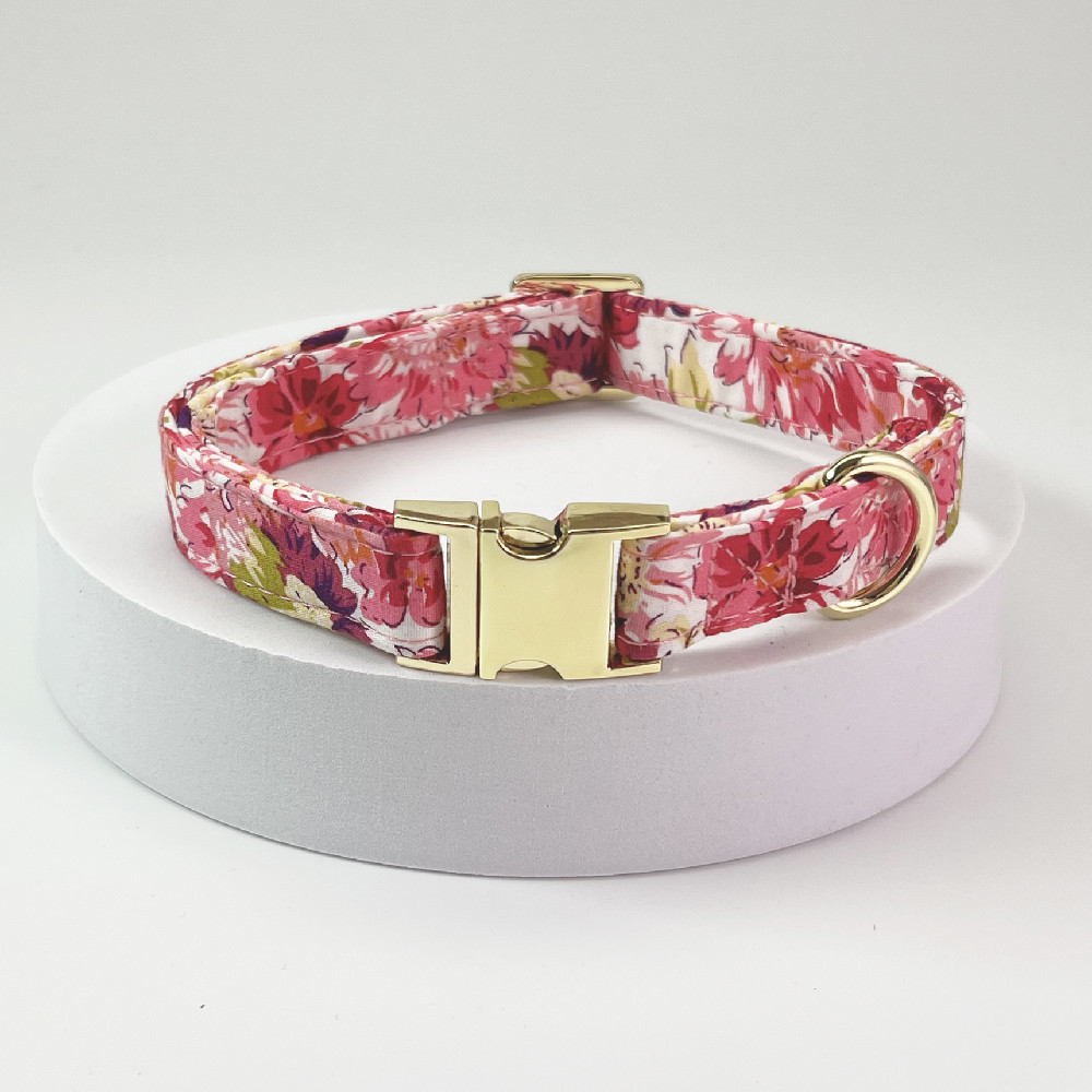 Collier gravé sur chien