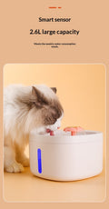 Induction de charge filtrée Fontaine d'eau pour animaux intelligents