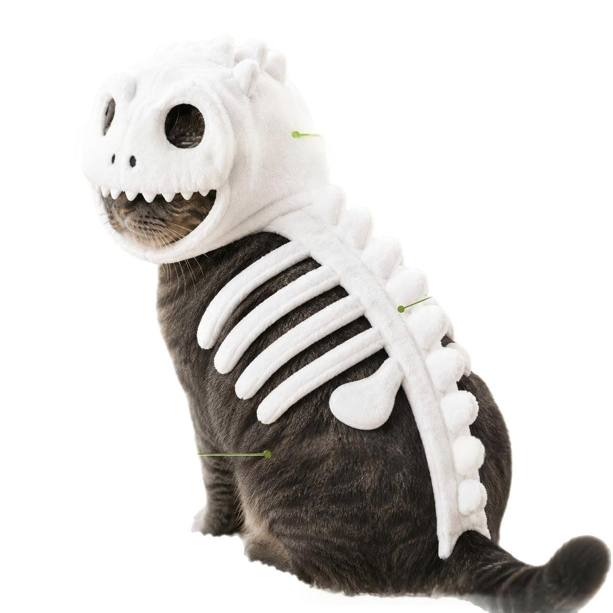 Costume de chat de squelette de dinosaure