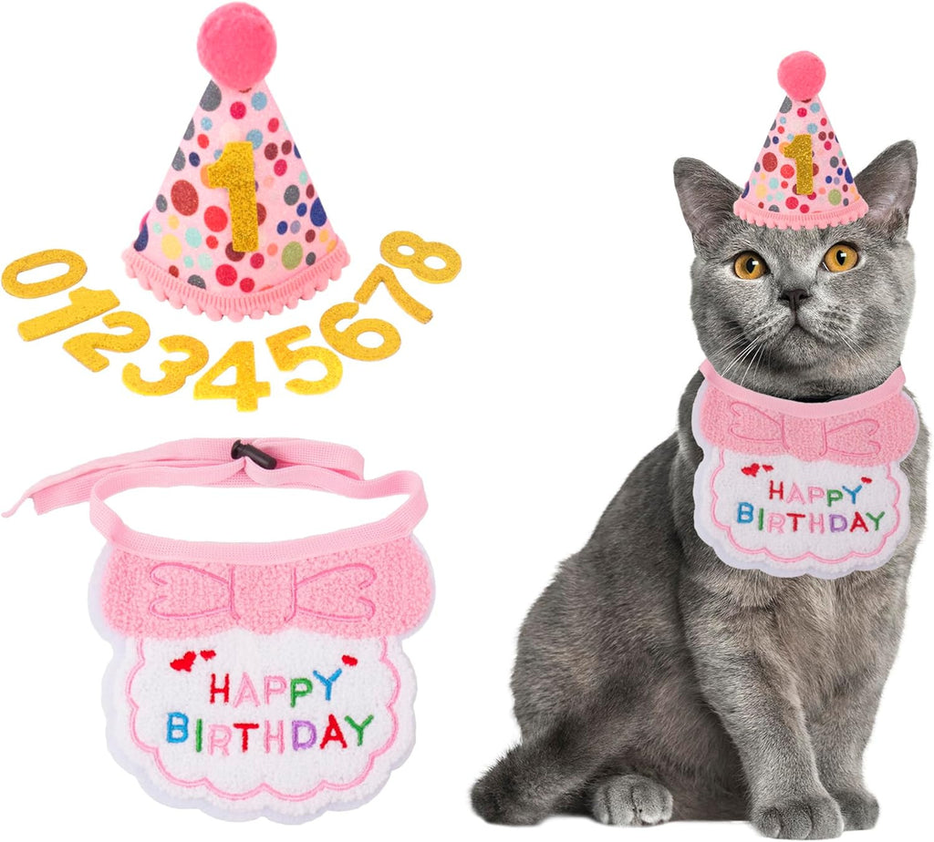 Fournitures pour fête d'anniversaire de chat