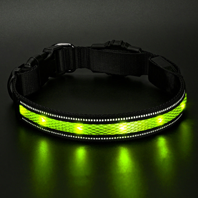 Collier de chien de Glowing imperméable rechargeable