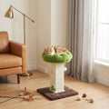 Flower Cat Scratching Post pour chat intérieur Scratcher avec perche confortable et amovible Pe