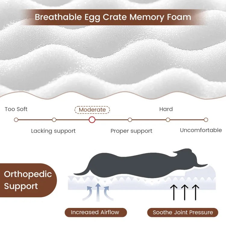 Orthopedic dog bed with memory foam support for large dogs