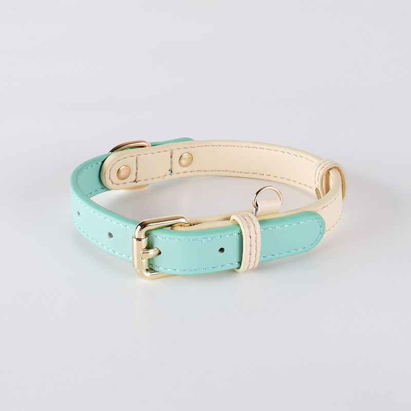 Collier en cuir pour chiens de taille petite et moyenne