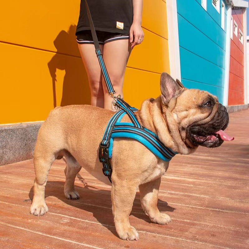 Harnais de poitrine de style vestige en laisse de chien