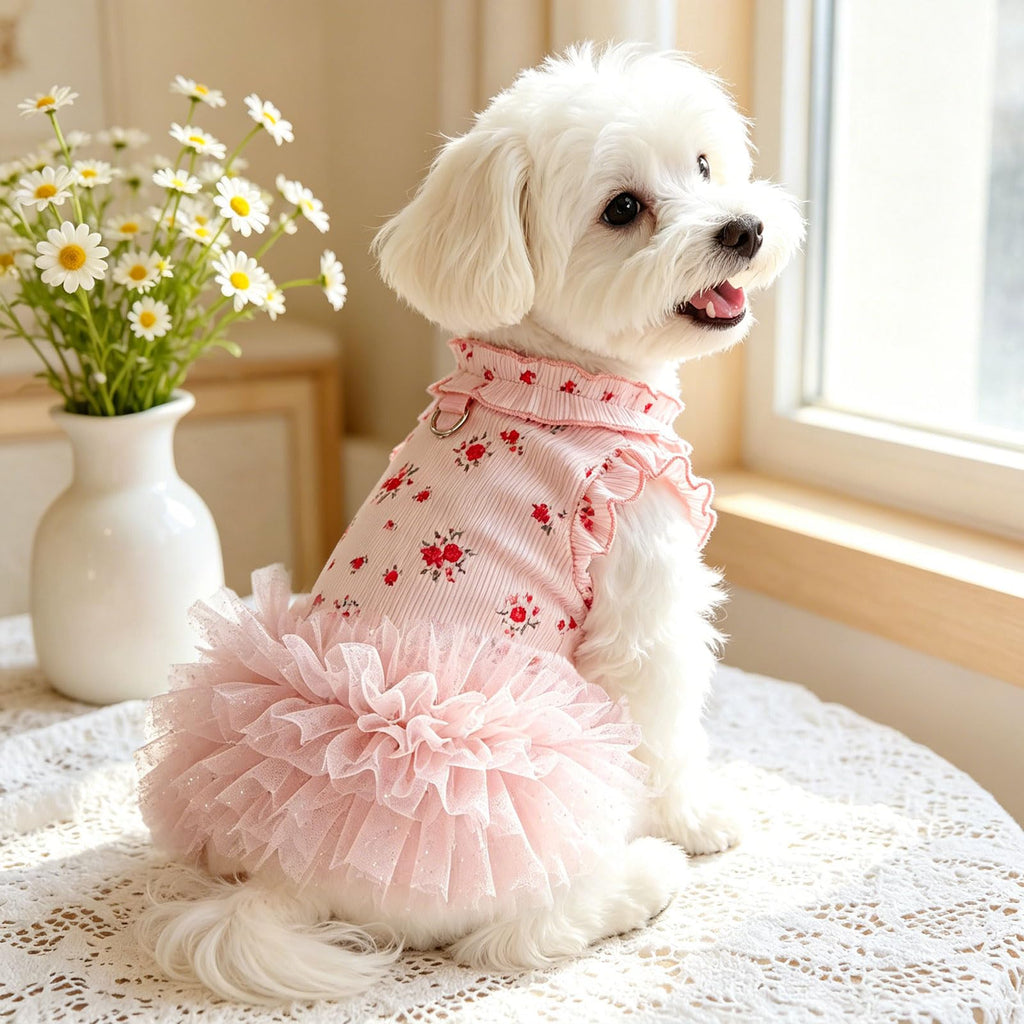 Robes de chien pour petits chiens fille