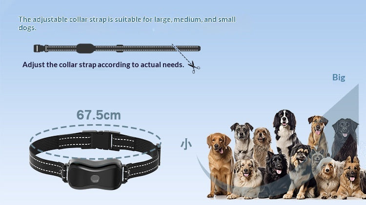Appareil d'entraînement à distance 2-en-1 pour chien.