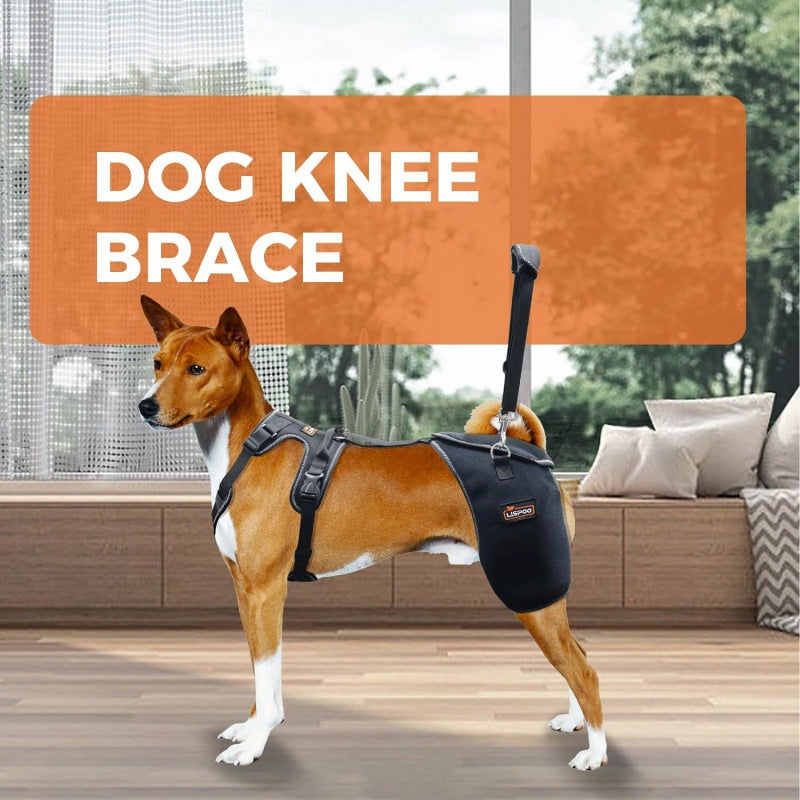Dog Hip Joint Support Knee Brace Comfortable and Breathable Chest Harness