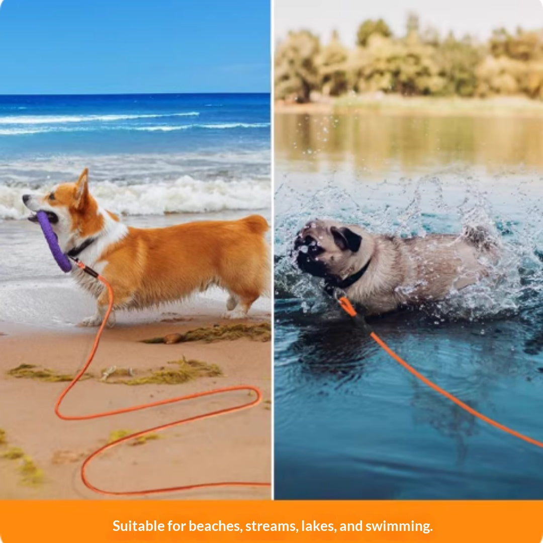 Feuille de chien supplémentaire longue pour la natation des animaux