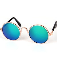 Verres pour chats Lunettes de soleil pour chats Accessoires pour chats