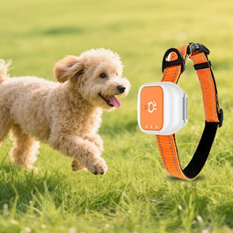 Chats et chiens de collier GPS 4G Suivi GPS en temps réel