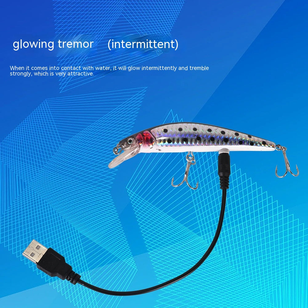 Flottant Mino lampe électrique USB Bait Simulation lumineuse Bait électrique