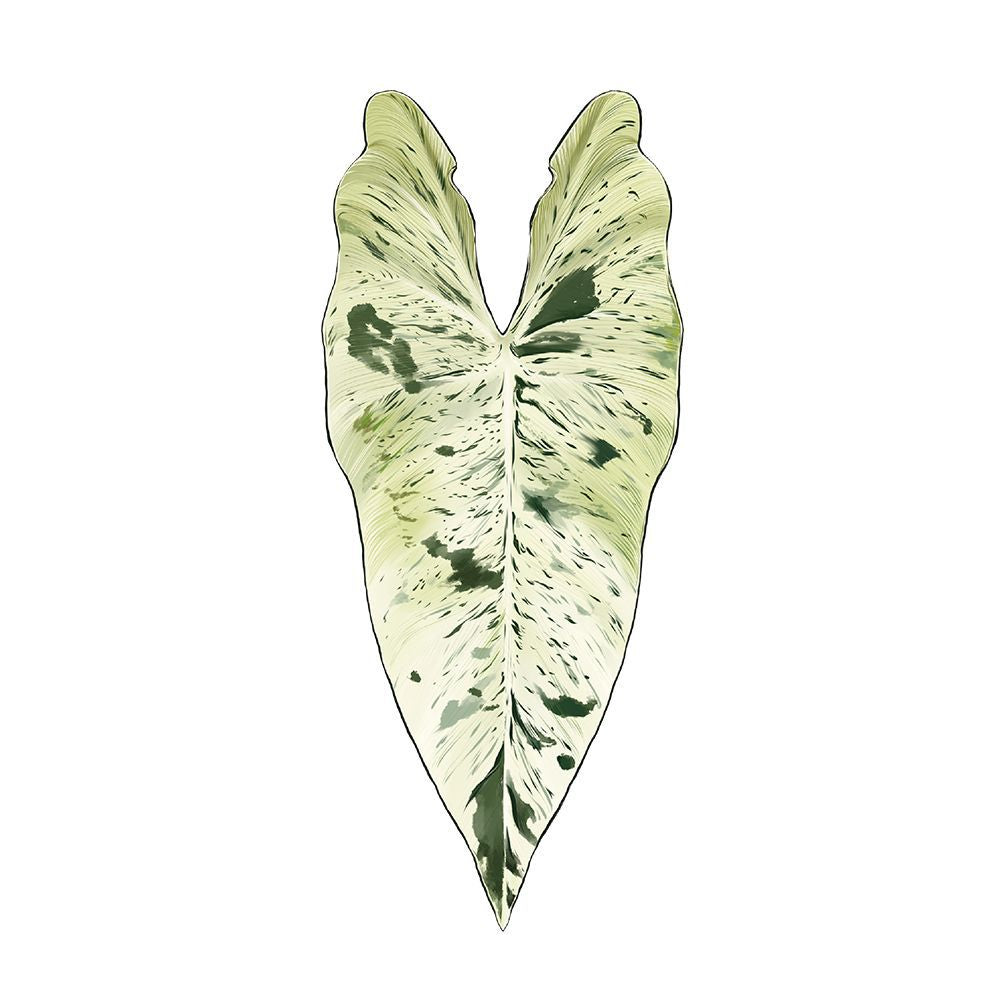 Magic plants tropical plants Creative Greenery Refrigerator Magnets