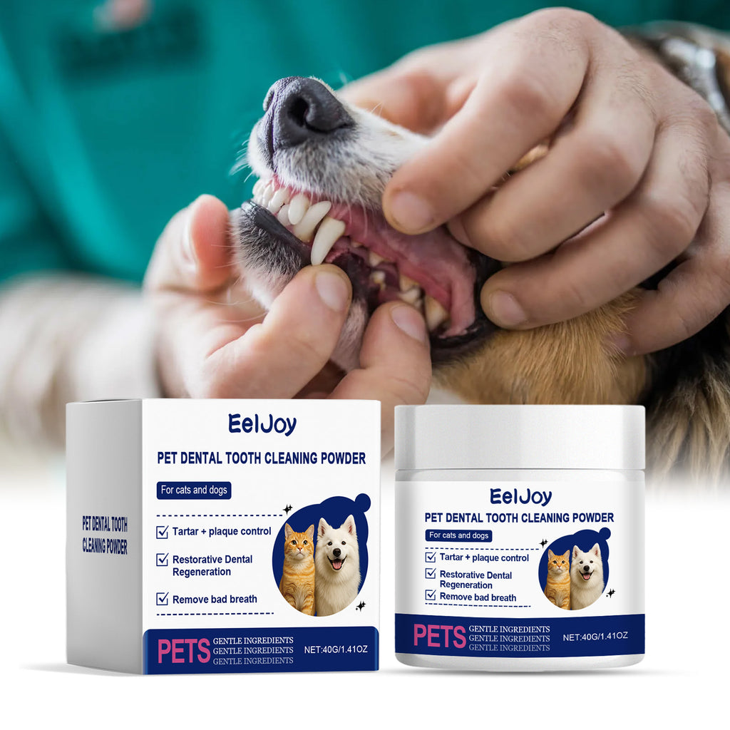 Poudre de nettoyage des dents des animaux de compagnie