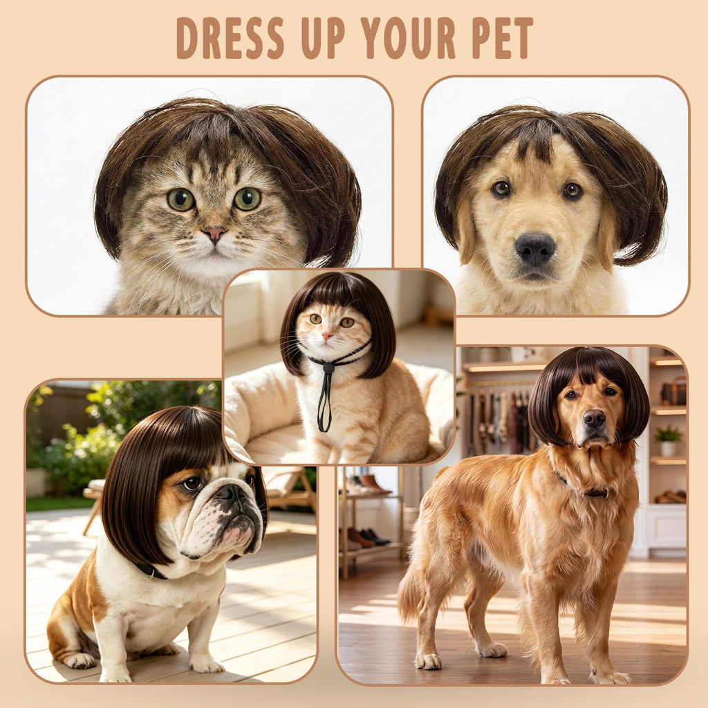 1 pack de chien et de chat drôle
