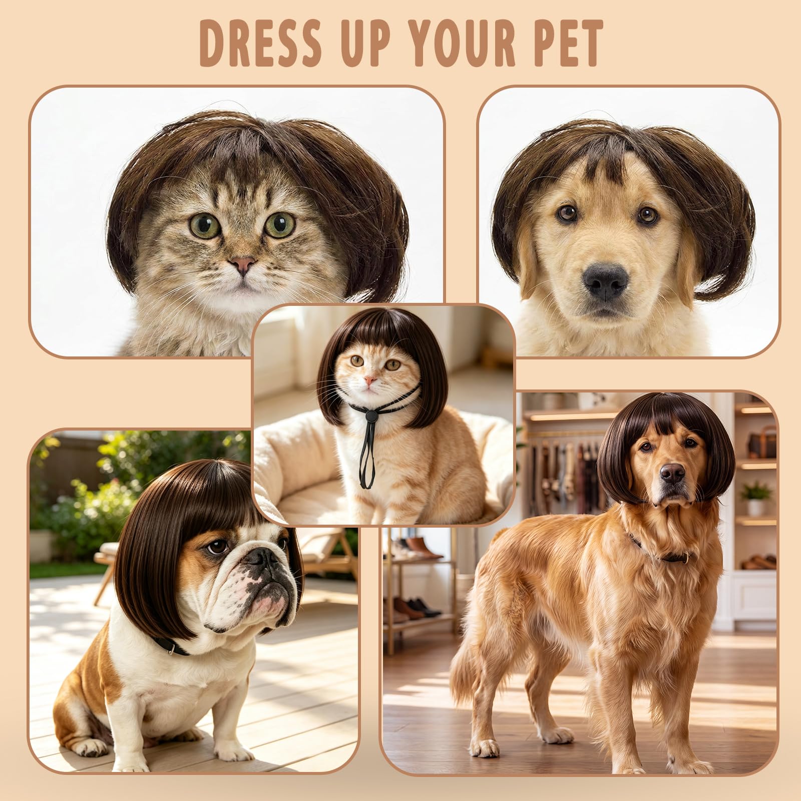 1 pack de chien et de chat drôle