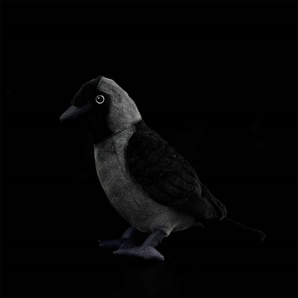 Les poupées en peluche de Jackdaw Ouest sont mignonnes
