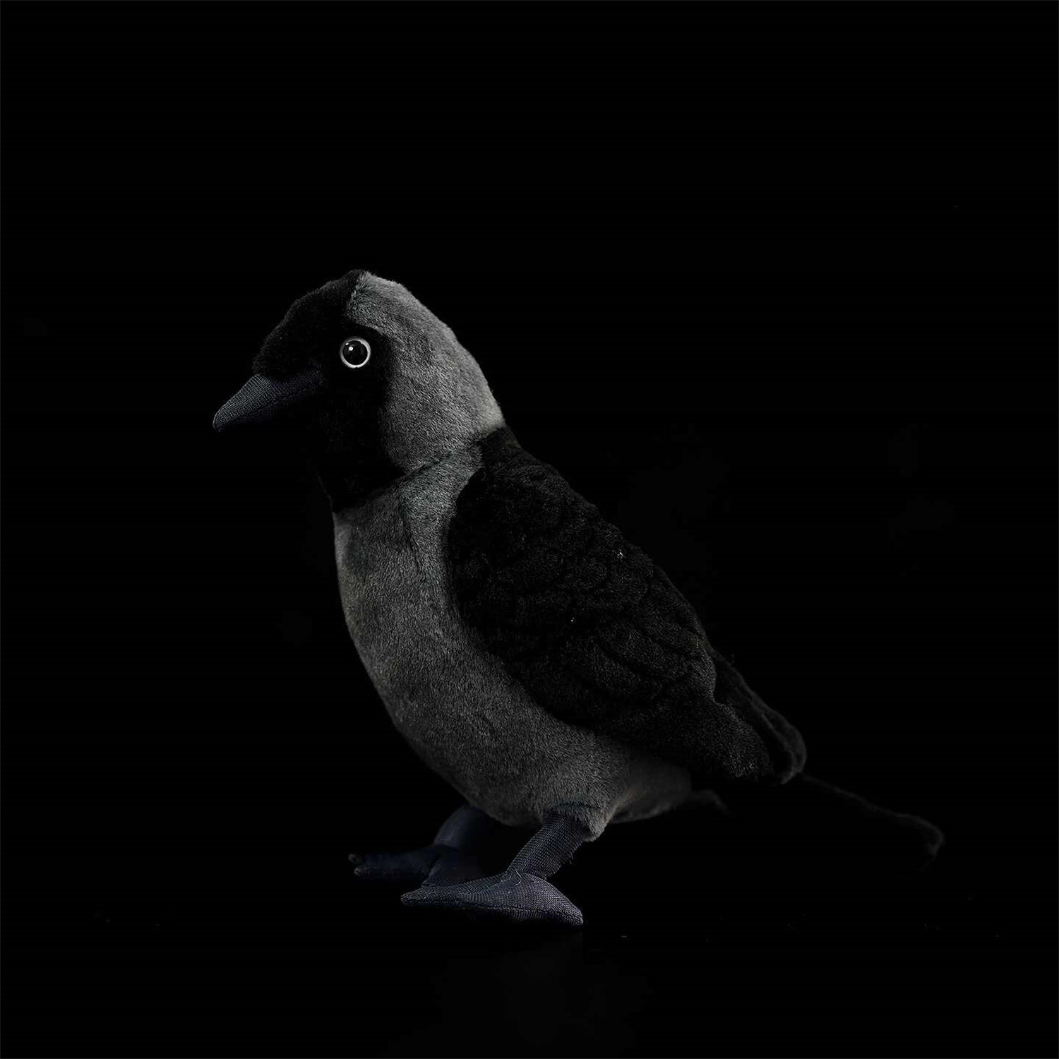 Les poupées en peluche de Jackdaw Ouest sont mignonnes