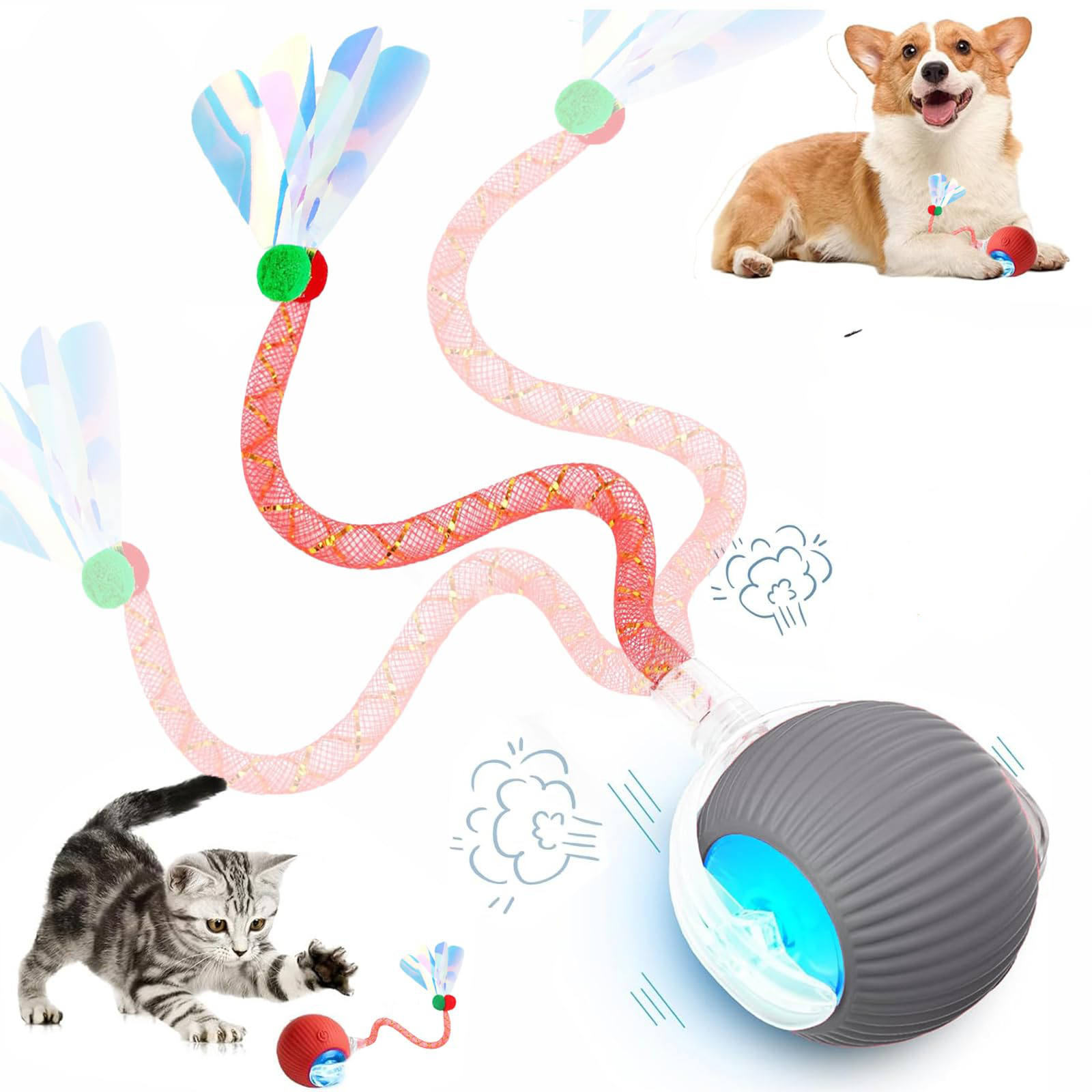 Jouets interactifs pour chats de queue pour chats d'intérieur