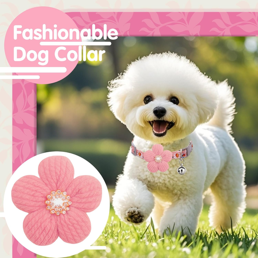 Petit collier de chien avec fleur