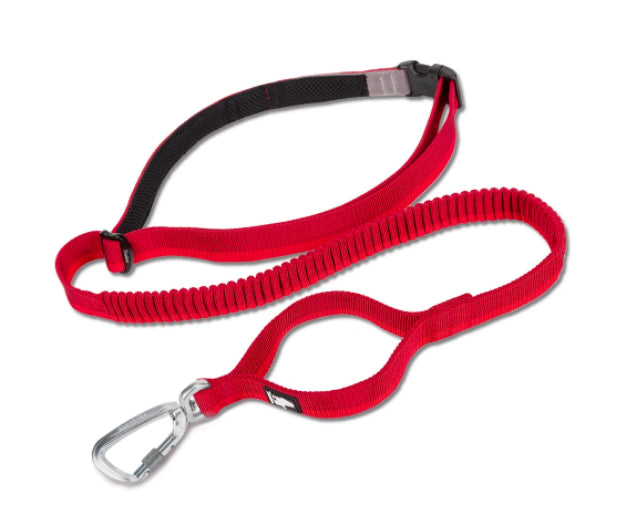 Pet Dog laisse avec élastique adapté pour courir et activités de plein air peut être attaché à