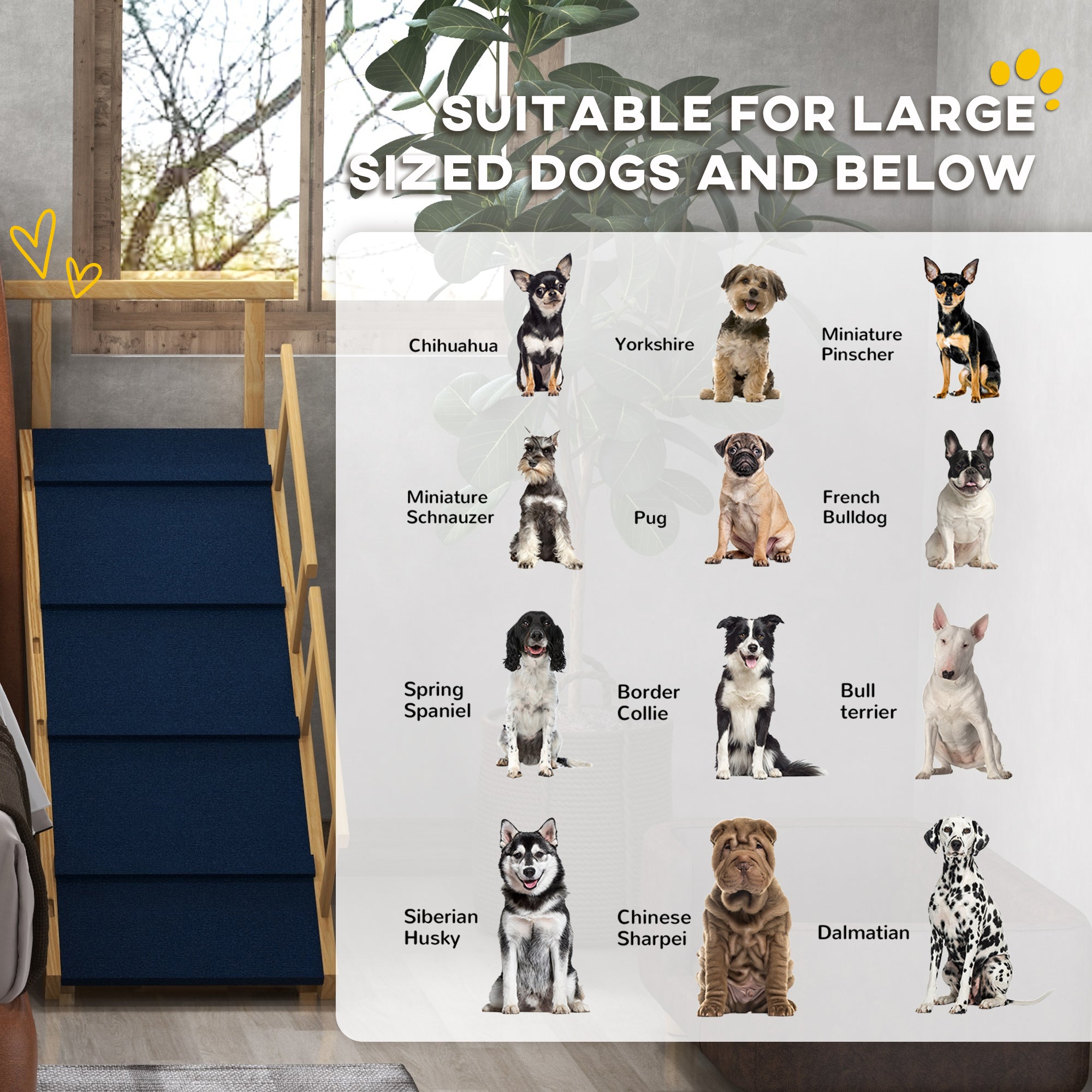 Ramp pour chien, marches réglables en hauteur, escaliers pliables pour chien avec tapis antidérapant pour petits à petits