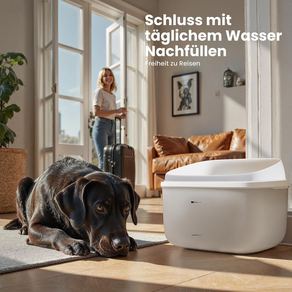 3.78L Fontaine d'eau pour animaux de compagnie Dual Dome Distributeur d'eau pour chats avec filtre en pierre de Maifan 3 couches Ul