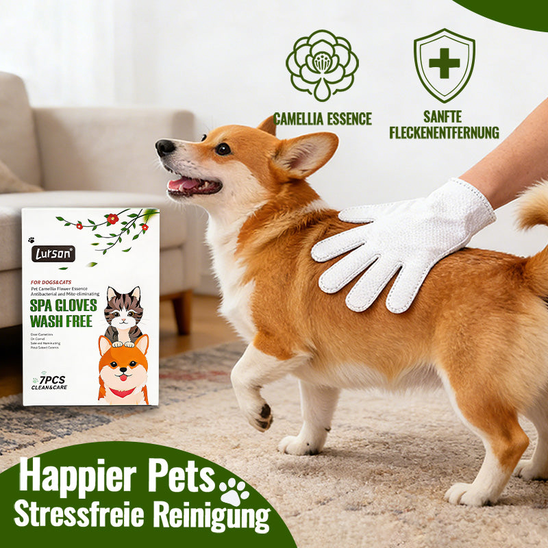 Gants antibactériens anti-poussières pour animaux de compagnie Camellia
