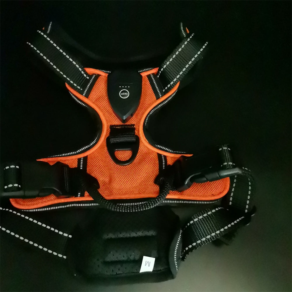 Led Pet Light-Up Harness Nighttime Dog Walking Anti-Collision Veste d'éclair réglable pour