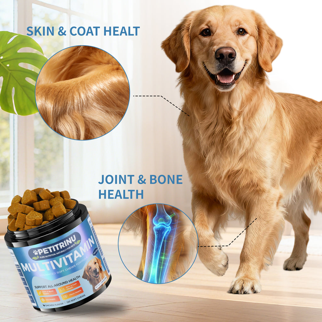 Un seul auto-pickup... Divers multivitamines pour chiens