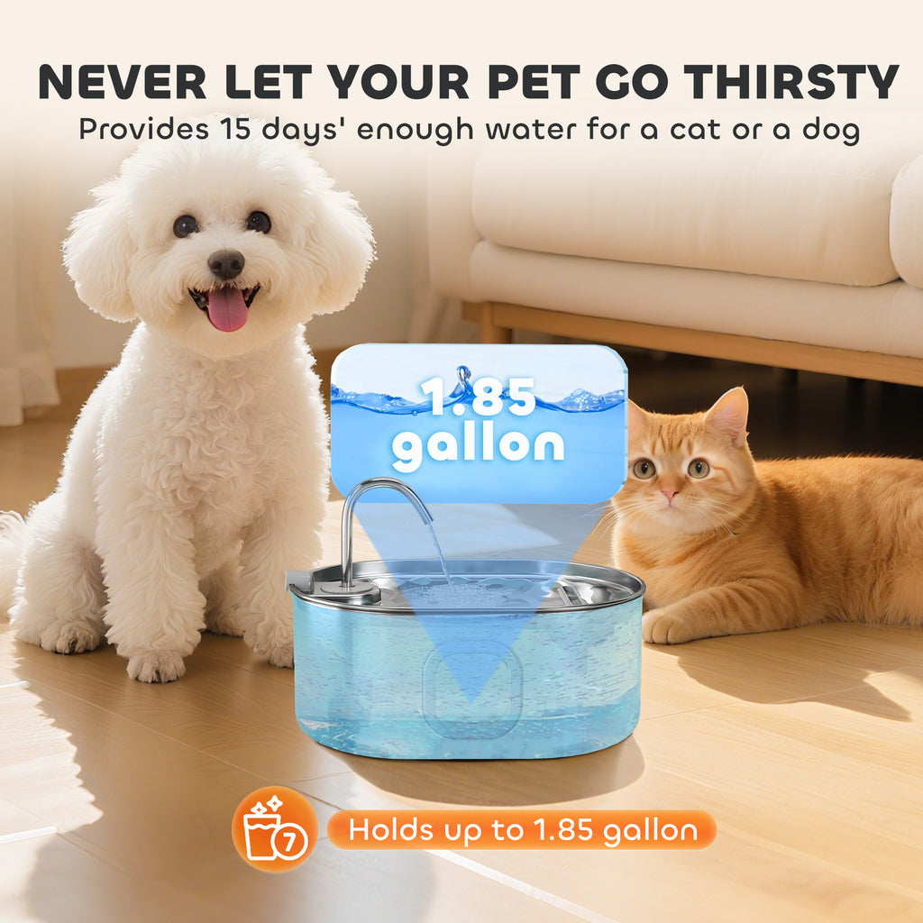 246 oz./7L Fontaine d'eau de chat en acier inoxydable avec filtres