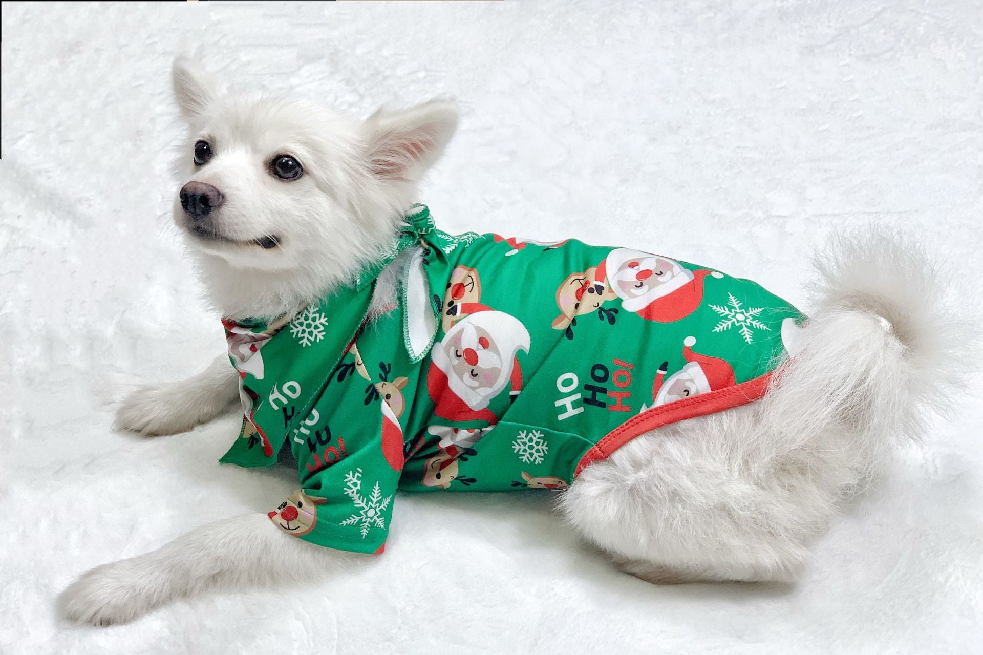 Pyjama de Noël pour la famille Matching Family Christmas PJs Sets Santa Claus Printed Top Sl